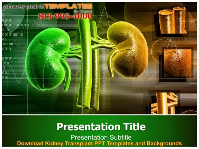 download-kidney-transplant-ppt-templates-and-backgrounds