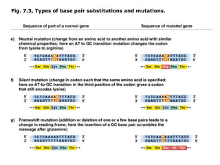 Fig. 7.3, Types of base pair substitutions and mutations.
 