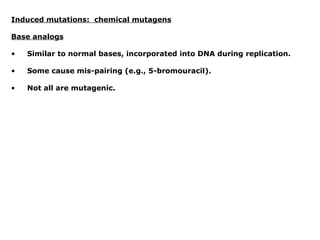 Induced mutations: chemical mutagens

Base analogs

•   Similar to normal bases, incorporated into DNA during replication.

•   Some cause mis-pairing (e.g., 5-bromouracil).

•   Not all are mutagenic.
 