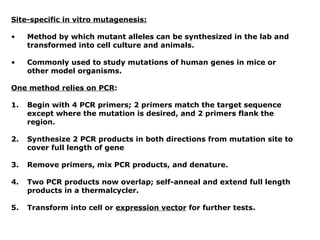Site-specific in vitro mutagenesis:

•    Method by which mutant alleles can be synthesized in the lab and
     transformed into cell culture and animals.

•    Commonly used to study mutations of human genes in mice or
     other model organisms.

One method relies on PCR:

1.   Begin with 4 PCR primers; 2 primers match the target sequence
     except where the mutation is desired, and 2 primers flank the
     region.

2.   Synthesize 2 PCR products in both directions from mutation site to
     cover full length of gene

3.   Remove primers, mix PCR products, and denature.

4.   Two PCR products now overlap; self-anneal and extend full length
     products in a thermalcycler.

5.   Transform into cell or expression vector for further tests.
 