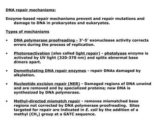 DNA repair mechanisms:

Enzyme-based repair mechanisms prevent and repair mutations and
   damage to DNA in prokaryotes and eukaryotes.

Types of mechanisms

•   DNA polymerase proofreading - 3’-5’ exonuclease activity corrects
    errors during the process of replication.

•   Photoreactivation (also called light repair) - photolyase enzyme is
    activated by UV light (320-370 nm) and splits abnormal base
    dimers apart.

•   Demethylating DNA repair enzymes - repair DNAs damaged by
    alkylation.

•   Nucleotide excision repair (NER) - Damaged regions of DNA unwind
    and are removed and by specialized proteins; new DNA is
    synthesized by DNA polymerase.

•   Methyl-directed mismatch repair - removes mismatched base
    regions not corrected by DNA polymerase proofreading. Sites
    targeted for repair are indicated in E. coli by the addition of a
    methyl (CH3) group at a GATC sequence.
 