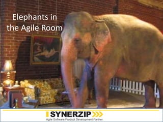 www.synerzip.com
Elephants in
the Agile Room
 