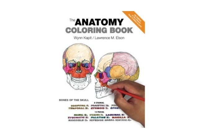 Download Download the anatomy coloring book full e book online