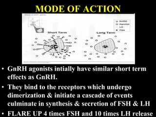 UNDERSTANDING DOWN REGULATION GnRH Agonists and Antagonists In ART | PDF