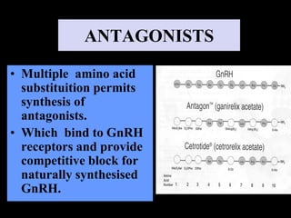 UNDERSTANDING DOWN REGULATION GnRH Agonists and Antagonists In ART | PDF