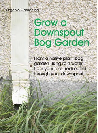 Organic Gardening



              Grow a
              Downspout
              Bog Garden
              Plant a native plant bog
              garden using rain water
              from your roof, redirected
              through your downspout.




Page 18             NaturalLifeMagazine.com
 