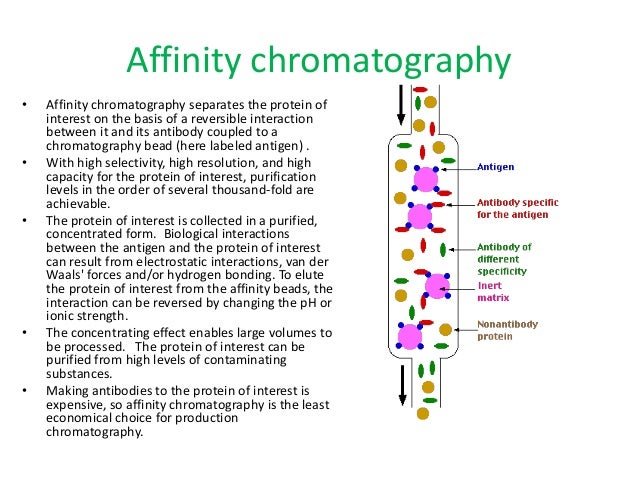 Downstream Processing Of Proteins Pdf