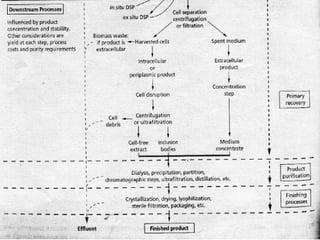 Basics of Downstream processing .ppt