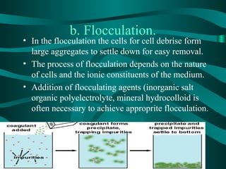 Basics of Downstream processing .ppt