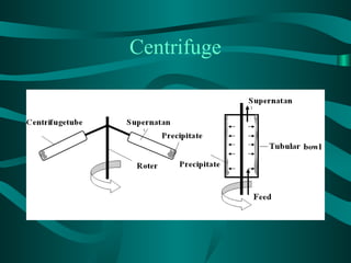Basics of Downstream processing .ppt