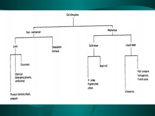 Basics of Downstream processing .ppt
