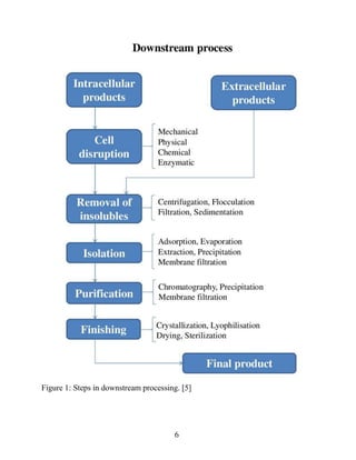 Downstream processing | PDF