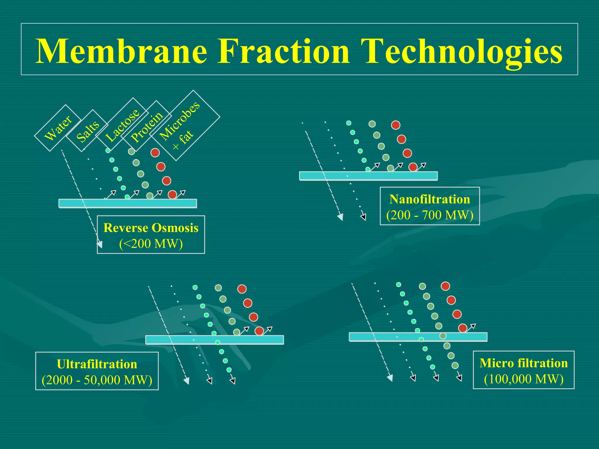 W
at
er
Sa
lts
La
ct
o
Pr se
ot
ei
M n
+ icr
fa ob
t
es

Membrane Fraction Technologies

Reverse Osmosis
(<200 MW)

Ultrafiltration
(2000 - 50,000 MW)

Nanofiltration
(200 - 700 MW)

Micro filtration
(100,000 MW)

 