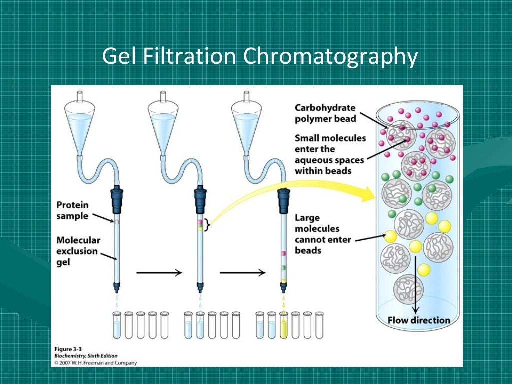 Downstream process(industrial process) Downstream processing is any…