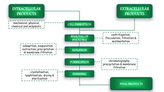 INTRACELLULAR
PRODUCTS
EXTRACELLULAR
PRODUCTS
REMOVAL OF
INSOLUBLE
CELL DISRUPTION
ISOLATION
PURIFICATION
FINISHING
FINAL PRODUCTS
mechanical, physical,
chemical and enzymatic
centrifugation,
flocculation, filtration &
sedimentation
adsoprtion, evaporation,
extraction, precipitation
& membrane filtration
chromatography,
precipitation & membrane
filtration
crystallisation,
lyophilisation, drying &
sterilization
 