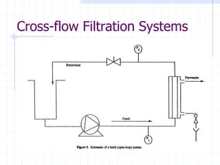 Cross-flow Filtration Systems
 