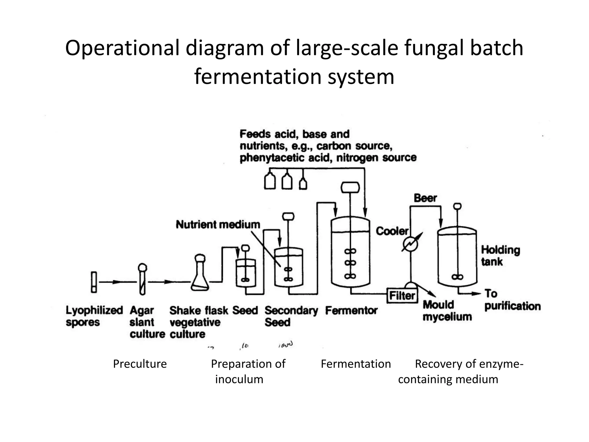 Operational diagram of large-scale fungal batch
fermentation system
Preculture Preparation of Fermentation Recovery of enzyme-
inoculum containing medium
 