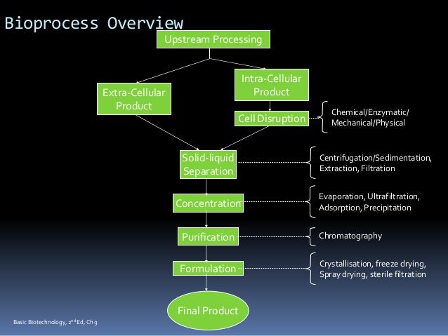 Downstream Processing Industrial Biotechnology Pdf