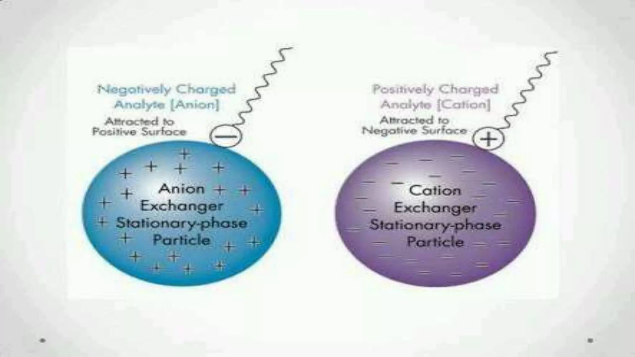 18-03-2017Basic Science H.O.T. 40
 