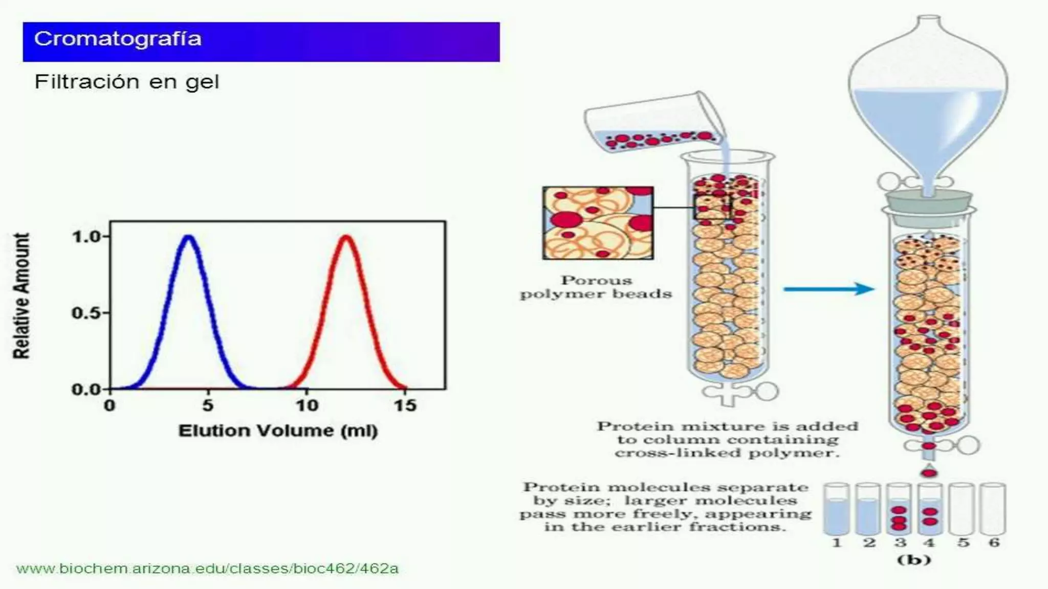 18-03-2017Basic Science H.O.T. 43
 