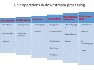 Downstream processing | PPTX