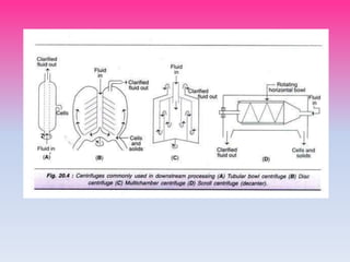 Downstream processing | PPT