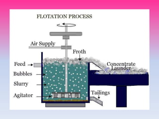 Downstream processing | PPT