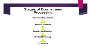 Downstream processing | PPTX