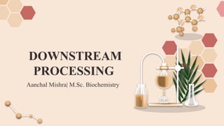 the presentation on downstream processing (DSP).pptx