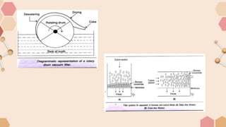 the presentation on downstream processing (DSP).pptx
