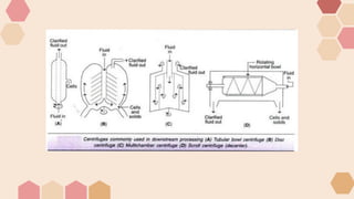 the presentation on downstream processing (DSP).pptx