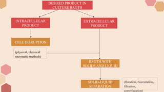 the presentation on downstream processing (DSP).pptx
