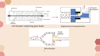 the presentation on downstream processing (DSP).pptx