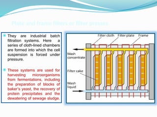down stream processing- ankit.pptx baca aau | PPTX