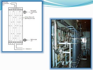 down stream processing- ankit.pptx baca aau | PPTX