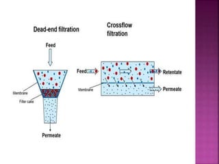 Downstream processing | PPTX