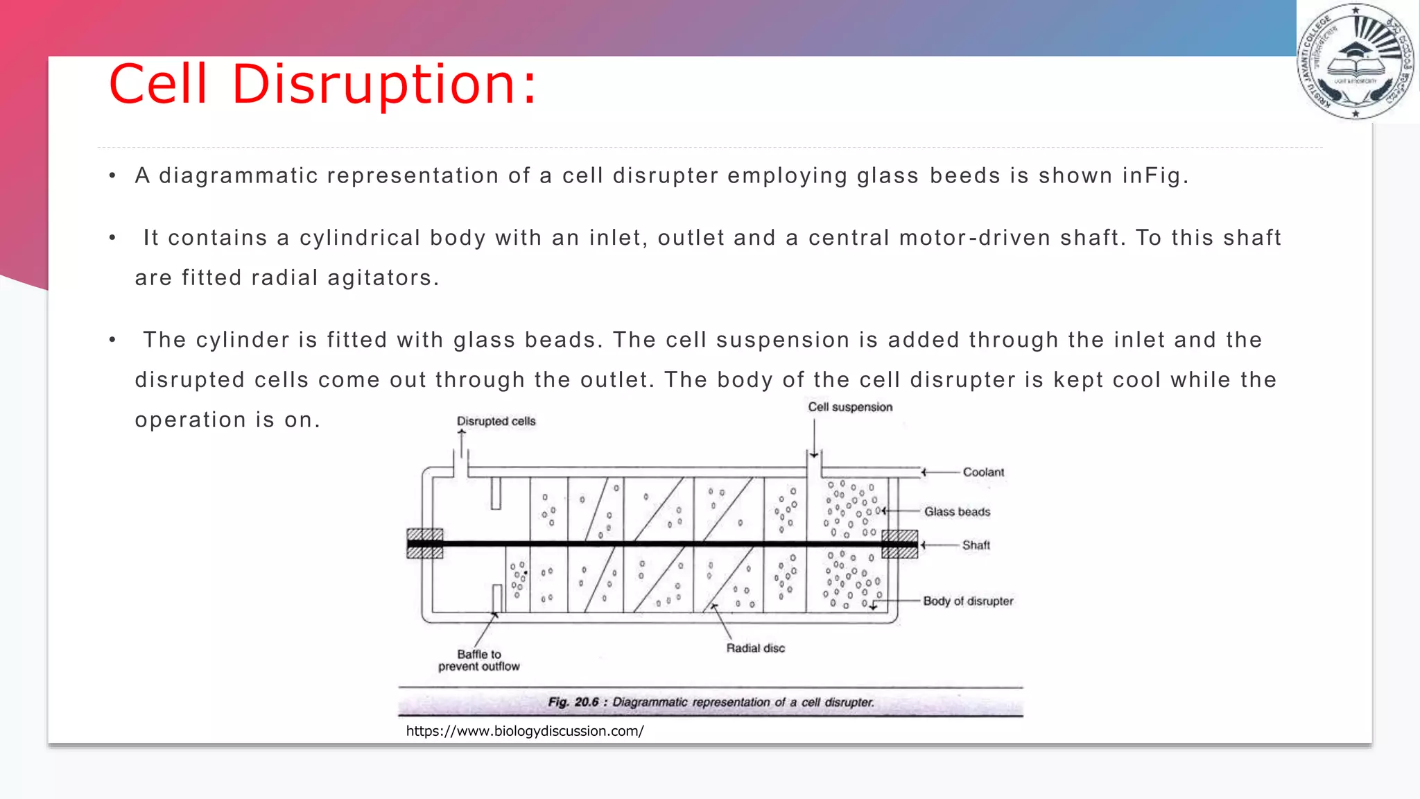 Down stream processing Dr.Sonia | PPT