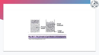Down stream processing Dr.Sonia | PPTX