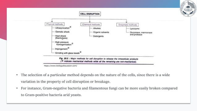 Down stream processing Dr.Sonia | PPT