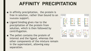 AFFINITY PRECIPITATION
■ In affinity precipitation, the protein is
free in solution, rather than bound to an
insoluble support.
■ Ligand binding gives rise to the
precipitation of the protein from
solution, which is then followed by
centrifugation.
■ The pellet contains the protein of
interest and the ligand, whereas the
other components of the mixture remain
in the supernatant, allowing easy
separation.
 