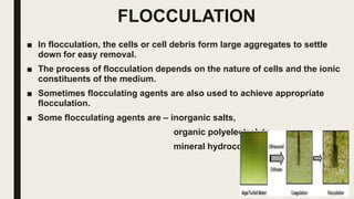 FLOCCULATION
■ In flocculation, the cells or cell debris form large aggregates to settle
down for easy removal.
■ The process of flocculation depends on the nature of cells and the ionic
constituents of the medium.
■ Sometimes flocculating agents are also used to achieve appropriate
flocculation.
■ Some flocculating agents are – inorganic salts,
organic polyelectrolyte,
mineral hydrocolloid.
 