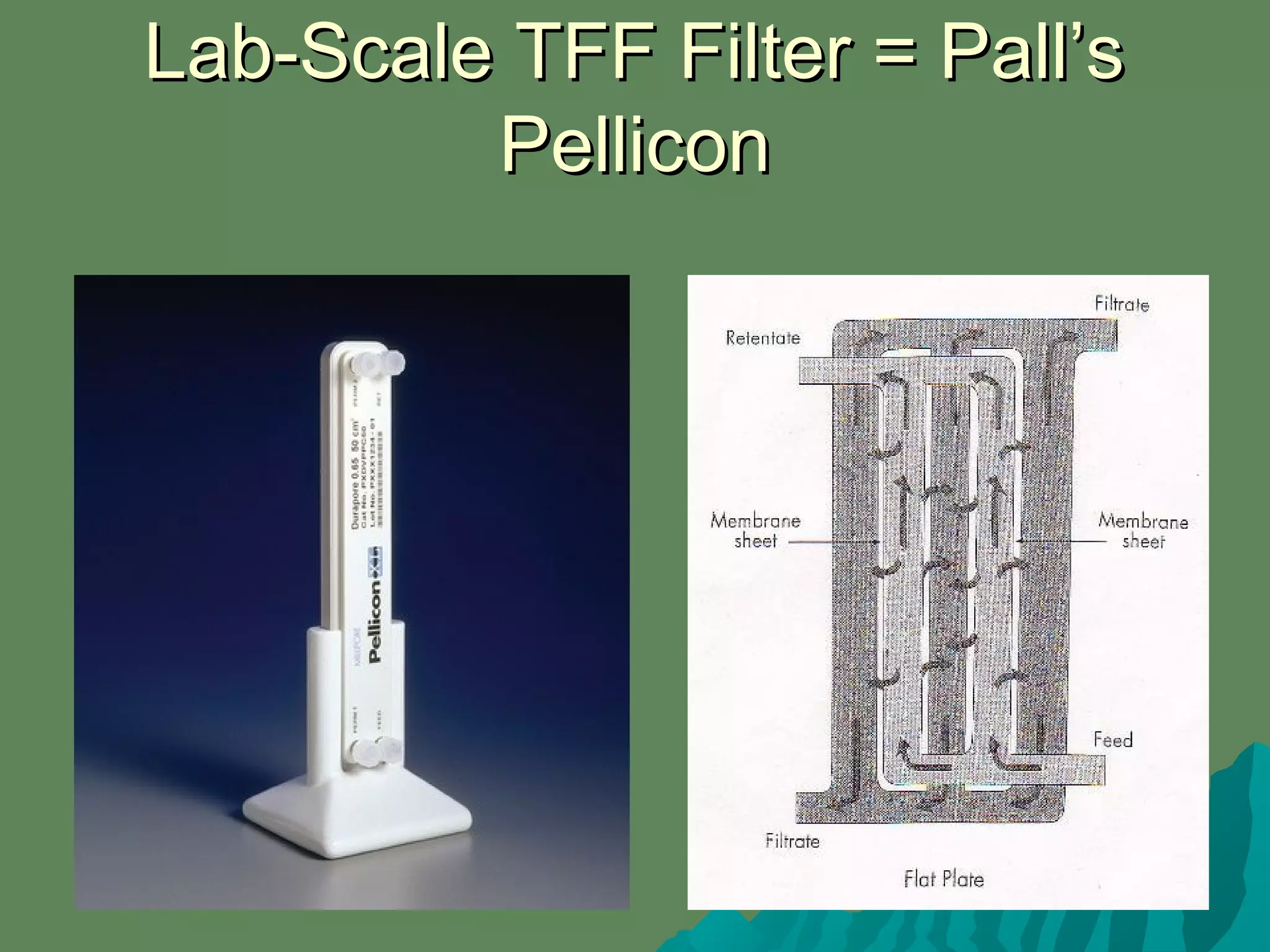 Lab-Scale TFF Filter = Pall’sLab-Scale TFF Filter = Pall’s
PelliconPellicon
 