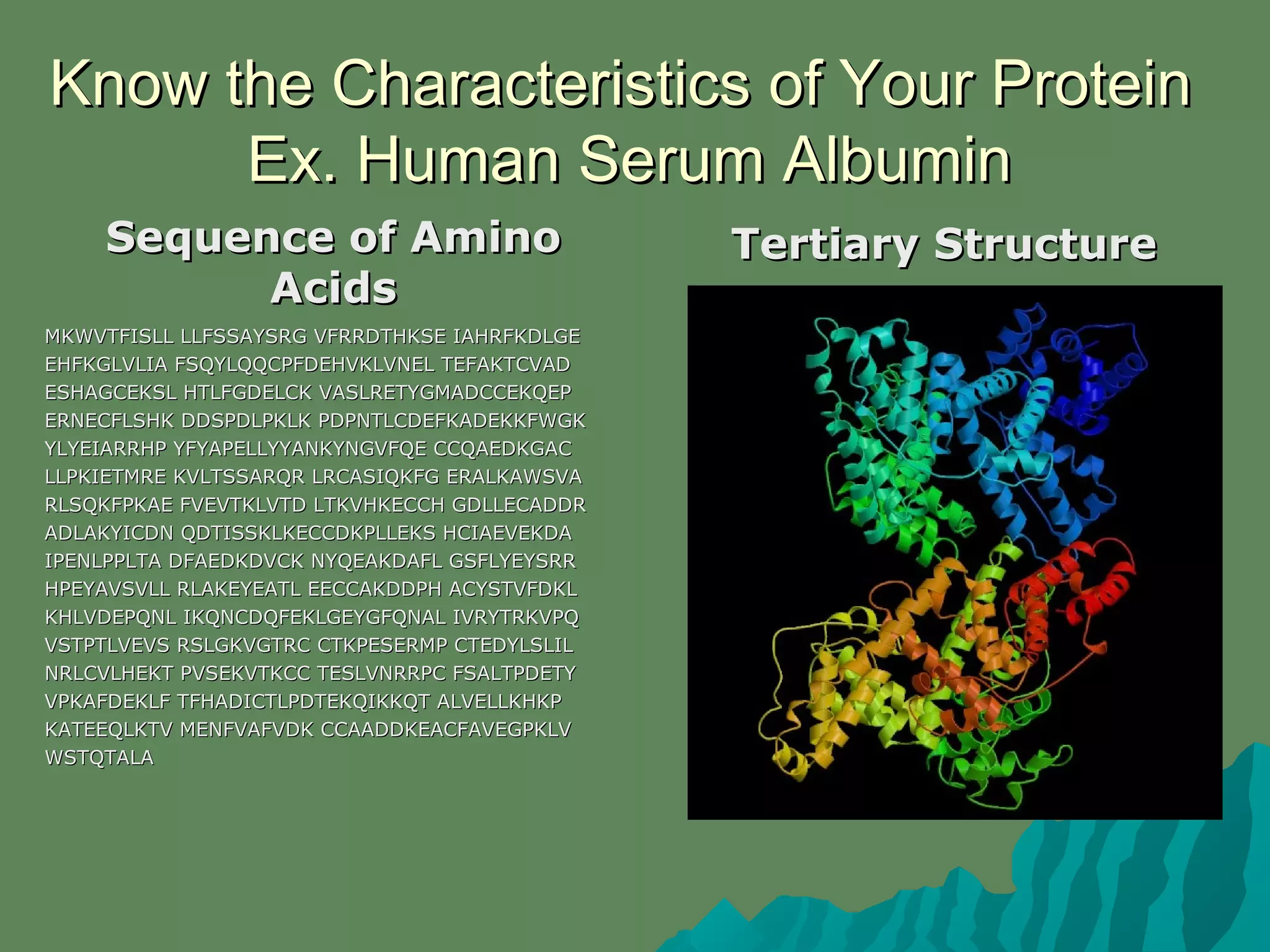 Know the Characteristics of Your ProteinKnow the Characteristics of Your Protein
Ex. Human Serum AlbuminEx. Human Serum Albumin
Sequence of AminoSequence of Amino
AcidsAcids
MKWVTFISLL LLFSSAYSRG VFRRDTHKSE IAHRFKDLGEMKWVTFISLL LLFSSAYSRG VFRRDTHKSE IAHRFKDLGE
EHFKGLVLIA FSQYLQQCPFDEHVKLVNEL TEFAKTCVADEHFKGLVLIA FSQYLQQCPFDEHVKLVNEL TEFAKTCVAD
ESHAGCEKSL HTLFGDELCK VASLRETYGMADCCEKQEPESHAGCEKSL HTLFGDELCK VASLRETYGMADCCEKQEP
ERNECFLSHK DDSPDLPKLK PDPNTLCDEFKADEKKFWGKERNECFLSHK DDSPDLPKLK PDPNTLCDEFKADEKKFWGK
YLYEIARRHP YFYAPELLYYANKYNGVFQE CCQAEDKGACYLYEIARRHP YFYAPELLYYANKYNGVFQE CCQAEDKGAC
LLPKIETMRE KVLTSSARQR LRCASIQKFG ERALKAWSVALLPKIETMRE KVLTSSARQR LRCASIQKFG ERALKAWSVA
RLSQKFPKAE FVEVTKLVTD LTKVHKECCH GDLLECADDRRLSQKFPKAE FVEVTKLVTD LTKVHKECCH GDLLECADDR
ADLAKYICDN QDTISSKLKECCDKPLLEKS HCIAEVEKDAADLAKYICDN QDTISSKLKECCDKPLLEKS HCIAEVEKDA
IPENLPPLTA DFAEDKDVCK NYQEAKDAFL GSFLYEYSRRIPENLPPLTA DFAEDKDVCK NYQEAKDAFL GSFLYEYSRR
HPEYAVSVLL RLAKEYEATL EECCAKDDPH ACYSTVFDKLHPEYAVSVLL RLAKEYEATL EECCAKDDPH ACYSTVFDKL
KHLVDEPQNL IKQNCDQFEKLGEYGFQNAL IVRYTRKVPQKHLVDEPQNL IKQNCDQFEKLGEYGFQNAL IVRYTRKVPQ
VSTPTLVEVS RSLGKVGTRC CTKPESERMP CTEDYLSLILVSTPTLVEVS RSLGKVGTRC CTKPESERMP CTEDYLSLIL
NRLCVLHEKT PVSEKVTKCC TESLVNRRPC FSALTPDETYNRLCVLHEKT PVSEKVTKCC TESLVNRRPC FSALTPDETY
VPKAFDEKLF TFHADICTLPDTEKQIKKQT ALVELLKHKPVPKAFDEKLF TFHADICTLPDTEKQIKKQT ALVELLKHKP
KATEEQLKTV MENFVAFVDK CCAADDKEACFAVEGPKLVKATEEQLKTV MENFVAFVDK CCAADDKEACFAVEGPKLV
WSTQTALAWSTQTALA
Tertiary StructureTertiary Structure
 