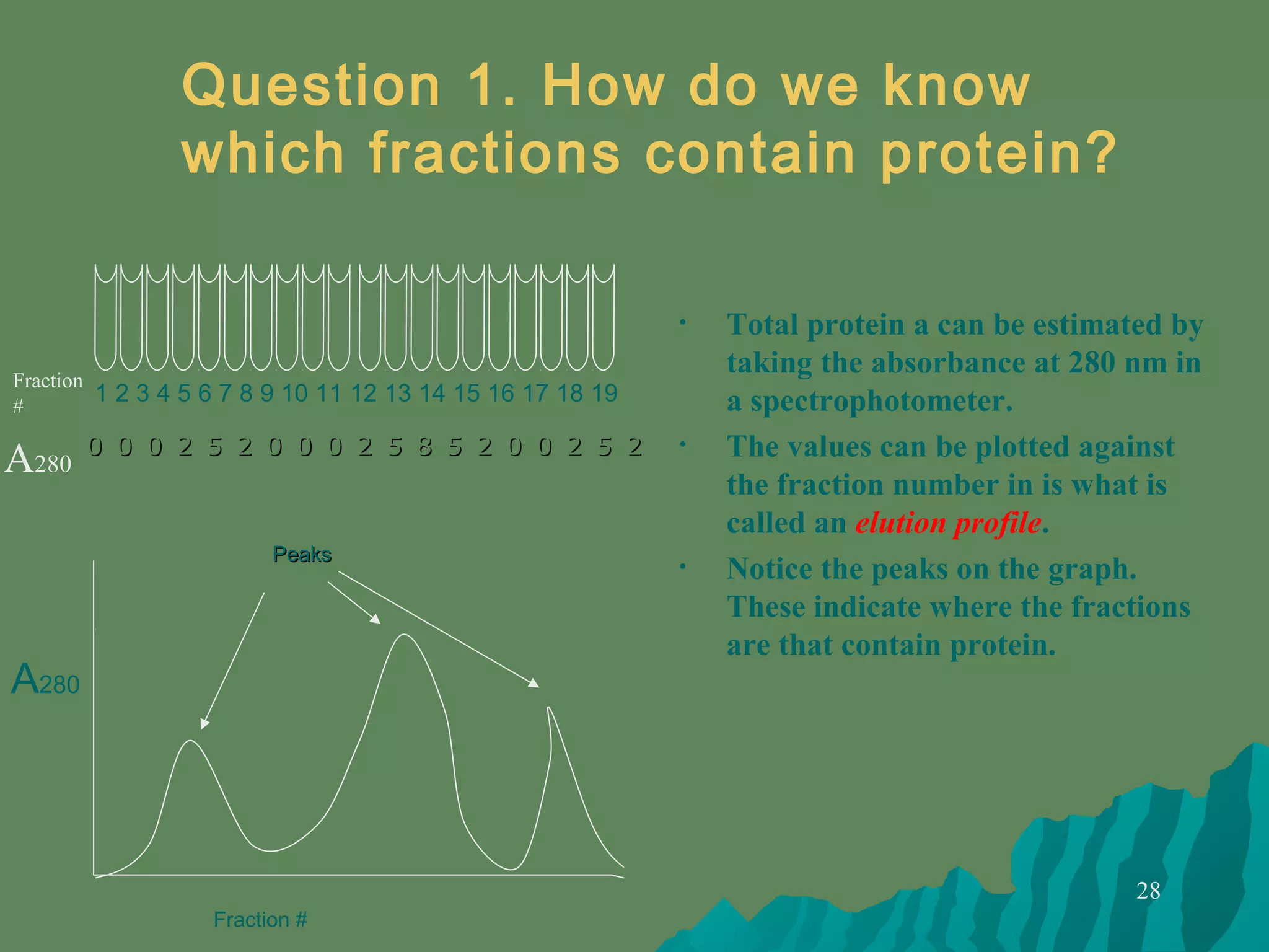 28
• Total protein a can be estimated by
taking the absorbance at 280 nm in
a spectrophotometer.
• The values can be plotted against
the fraction number in is what is
called an elution profile.
• Notice the peaks on the graph.
These indicate where the fractions
are that contain protein.
Question 1. How do we know
which fractions contain protein?
A280
00 00 00 22 55 22 00 00 00 22 55 88 55 22 00 00 22 55 22
1 2 3 4 5 6 7 8 9 10 11 12 13 14 15 16 17 18 19
Fraction
#
A280
Fraction #
PeaksPeaks
 