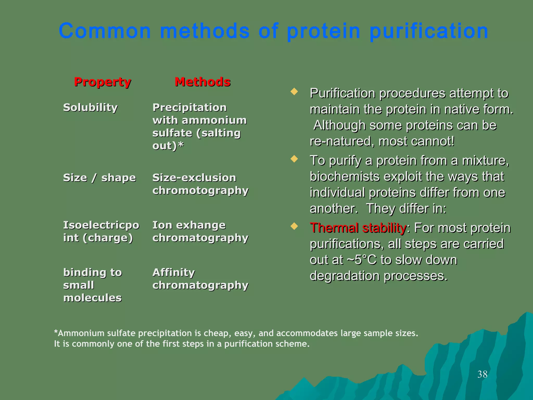 38
PropertyProperty MethodsMethods
SolubilitySolubility PrecipitationPrecipitation
with ammoniumwith ammonium
sulfate (saltingsulfate (salting
out)*out)*
Size / shapeSize / shape Size-exclusionSize-exclusion
chromotographychromotography
IsoelectricpoIsoelectricpo
int (charge)int (charge)
Ion exhangeIon exhange
chromatographychromatography
binding tobinding to
smallsmall
moleculesmolecules
AffinityAffinity
chromatographychromatography
Common methods of protein purification
*Ammonium sulfate precipitation is cheap, easy, and accommodates large sample sizes.
It is commonly one of the first steps in a purification scheme.
 Purification procedures attempt toPurification procedures attempt to
maintain the protein in native form.maintain the protein in native form.
Although some proteins can beAlthough some proteins can be
re-natured, most cannot!re-natured, most cannot!
 To purify a protein from a mixture,To purify a protein from a mixture,
biochemists exploit the ways thatbiochemists exploit the ways that
individual proteins differ from oneindividual proteins differ from one
another. They differ in:another. They differ in:
 Thermal stabilityThermal stability: For most protein: For most protein
purifications, all steps are carriedpurifications, all steps are carried
out at ~5°C to slow downout at ~5°C to slow down
degradation processes.degradation processes.
 