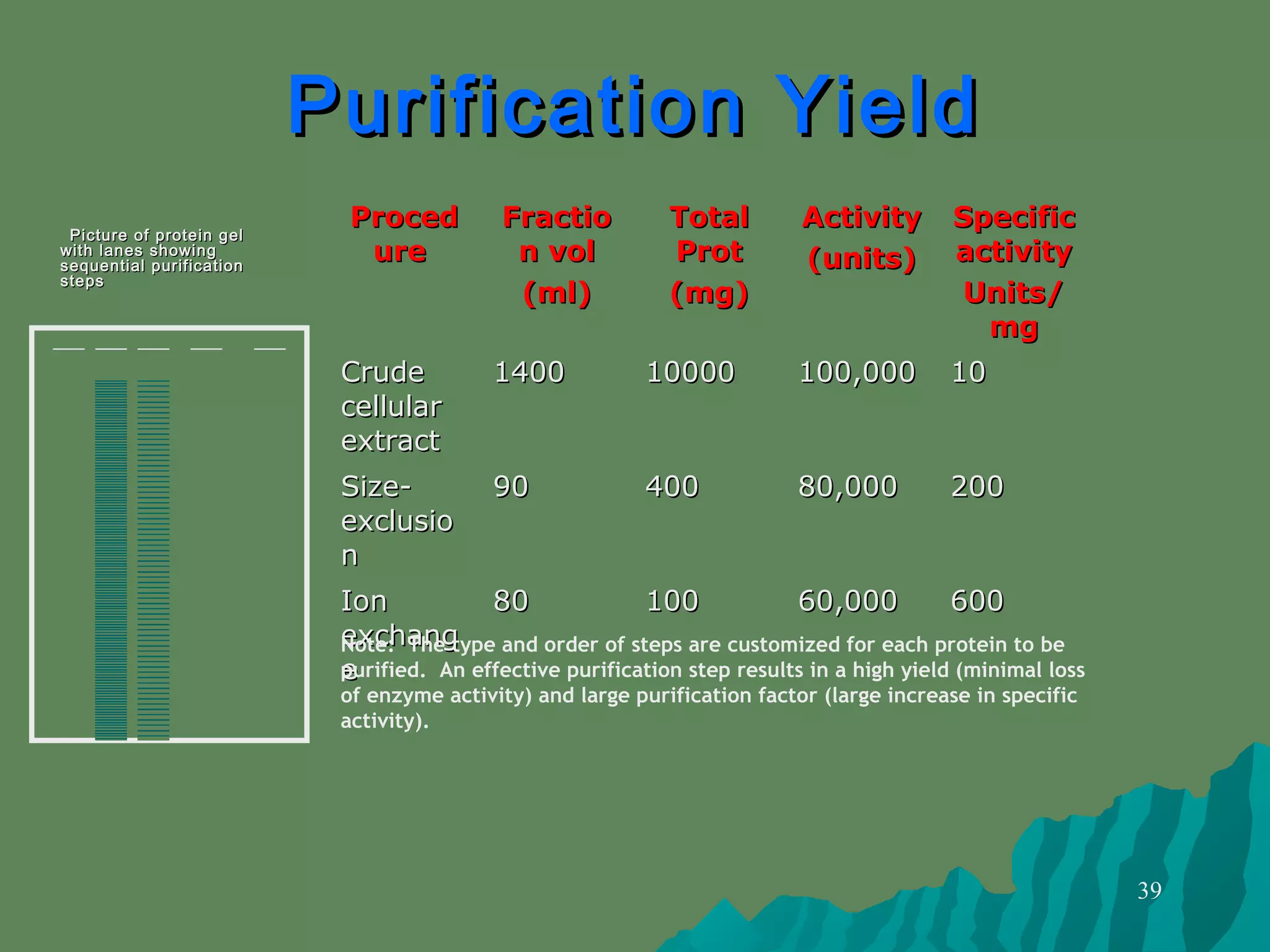 39
Picture of protein gelPicture of protein gel
with lanes showingwith lanes showing
sequential purificationsequential purification
stepssteps
ProcedProced
ureure
FractioFractio
n voln vol
(ml)(ml)
TotalTotal
ProtProt
(mg)(mg)
ActivityActivity
(units)(units)
SpecificSpecific
activityactivity
Units/Units/
mgmg
CrudeCrude
cellularcellular
extractextract
14001400 1000010000 100,000100,000 1010
Size-Size-
exclusioexclusio
nn
9090 400400 80,00080,000 200200
IonIon
exchangexchang
ee
8080 100100 60,00060,000 600600
Note: The type and order of steps are customized for each protein to be
purified. An effective purification step results in a high yield (minimal loss
of enzyme activity) and large purification factor (large increase in specific
activity).
Purification YieldPurification Yield
 