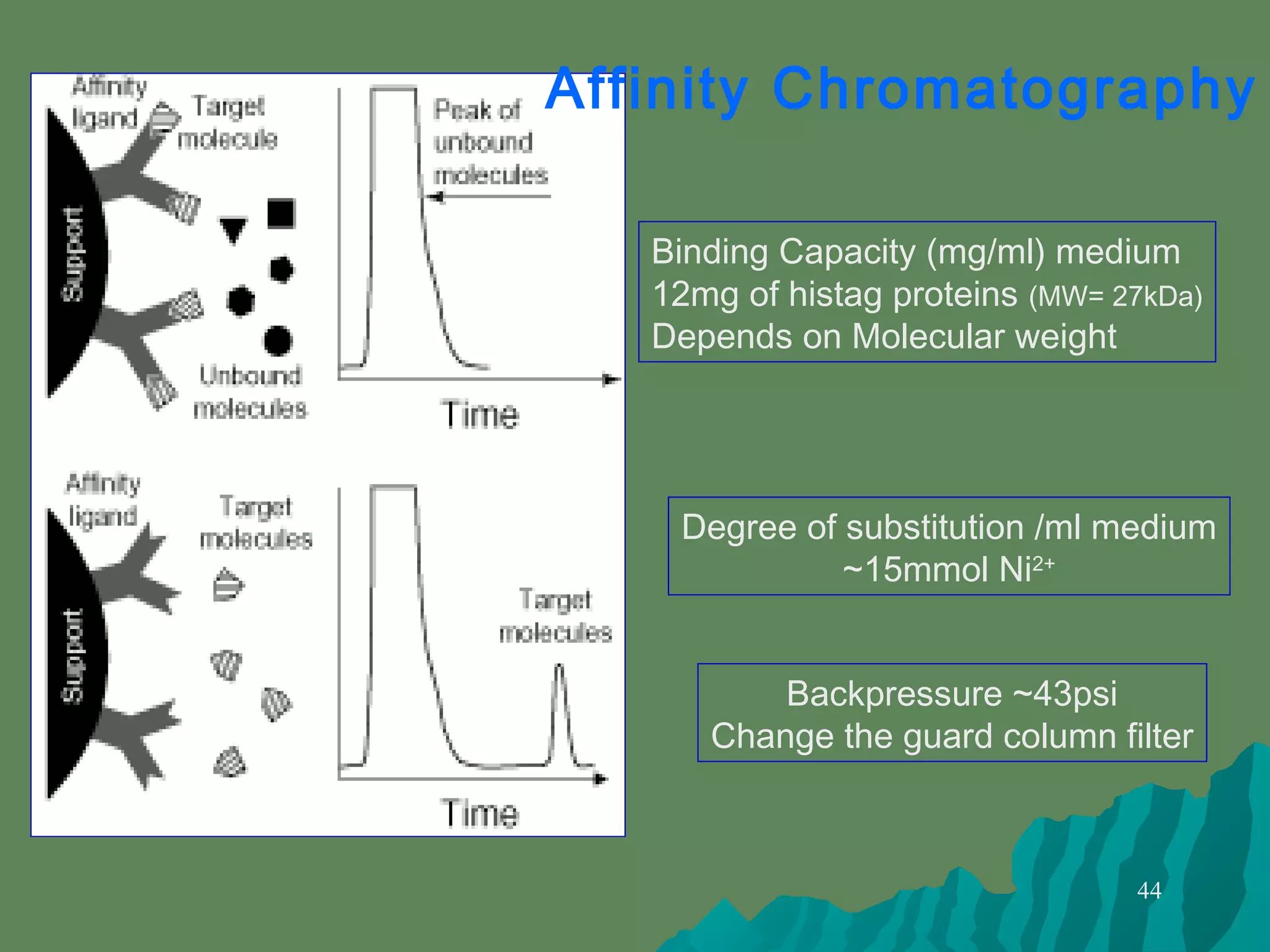 44
Affinity Chromatography
Binding Capacity (mg/ml) medium
12mg of histag proteins (MW= 27kDa)
Depends on Molecular weight
Degree of substitution /ml medium
~15mmol Ni2+
Backpressure ~43psi
Change the guard column filter
 