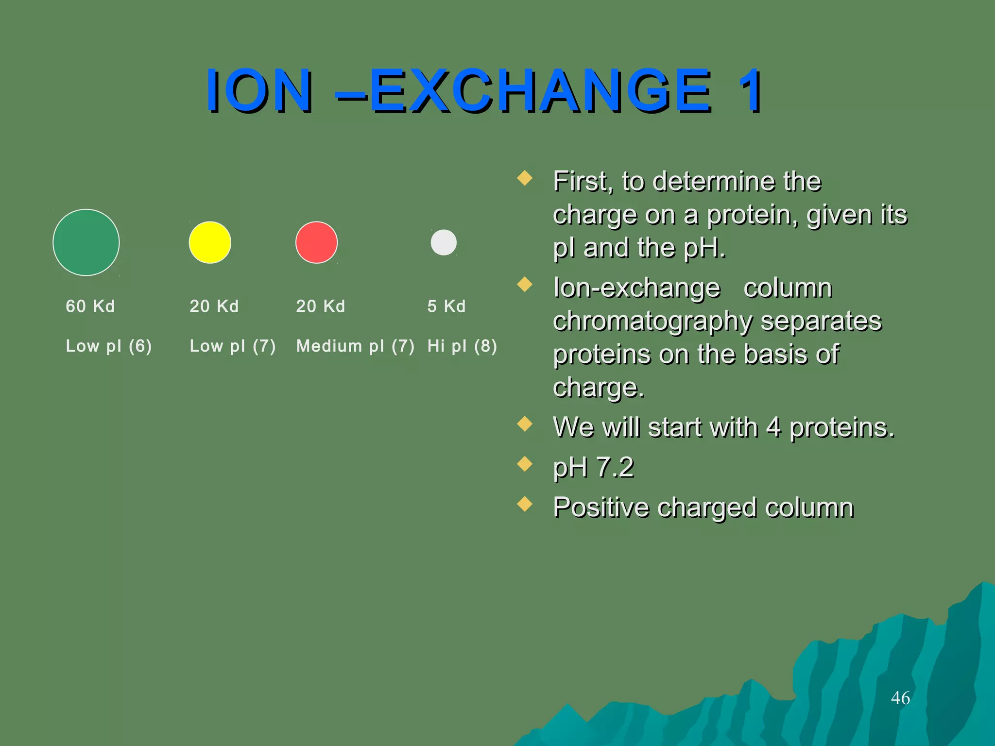 46
ION –EXCHANGE 1ION –EXCHANGE 1
 First, to determine theFirst, to determine the
charge on a protein, given itscharge on a protein, given its
pI and the pH.pI and the pH.
 Ion-exchange columnIon-exchange column
chromatography separateschromatography separates
proteins on the basis ofproteins on the basis of
charge.charge.
 We will start with 4 proteins.We will start with 4 proteins.
 pH 7.2pH 7.2
 Positive charged columnPositive charged column
60 Kd
Low pI (6)
20 Kd
Low pI (7)
20 Kd
Medium pI (7)
5 Kd
Hi pI (8)
 