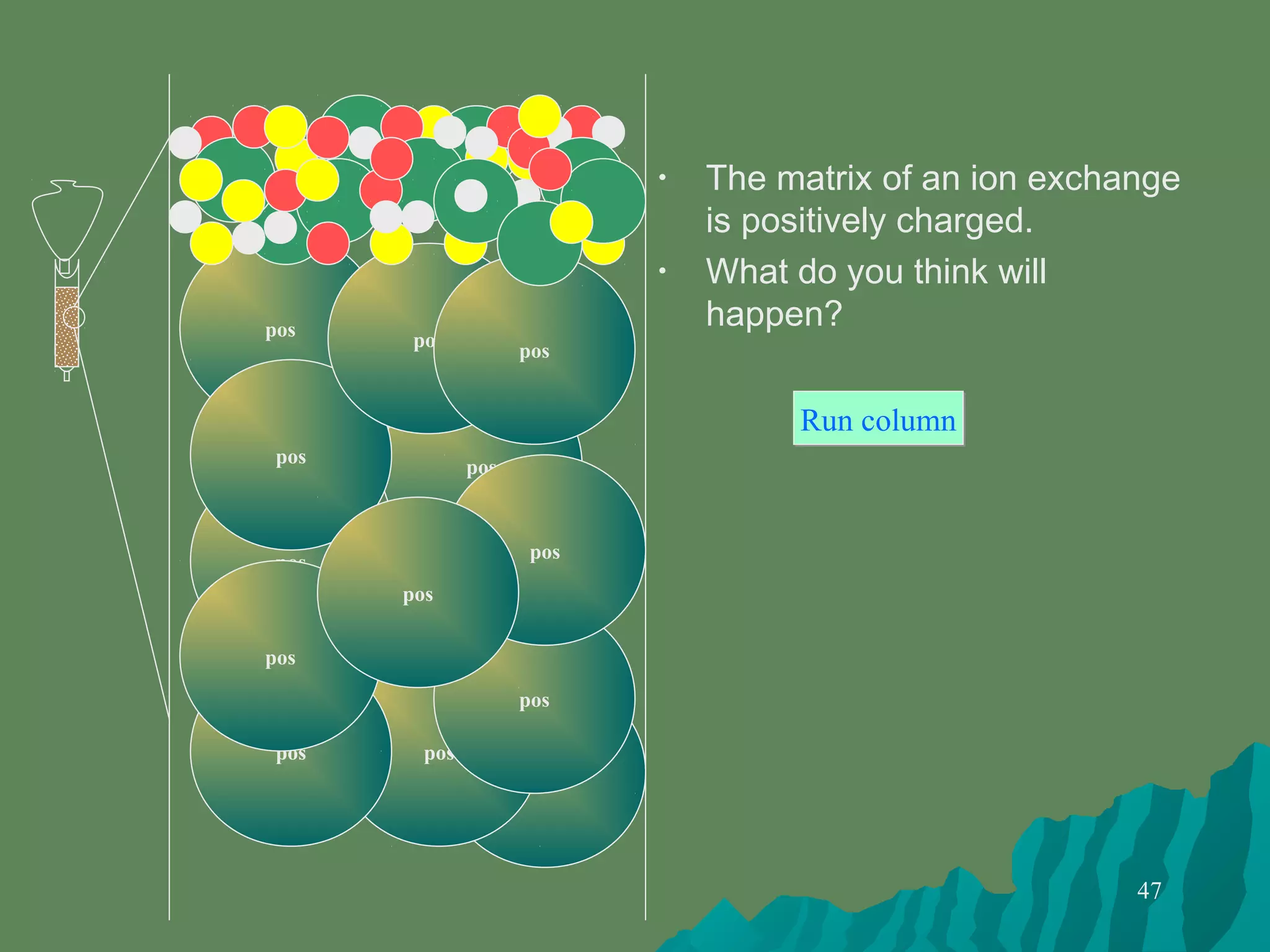47
pos
• The matrix of an ion exchange
is positively charged.
• What do you think will
happen?pos
pos
pos
pos
pos
pos
Run columnRun column
pos
pos
pos
pos
pos
pos
 