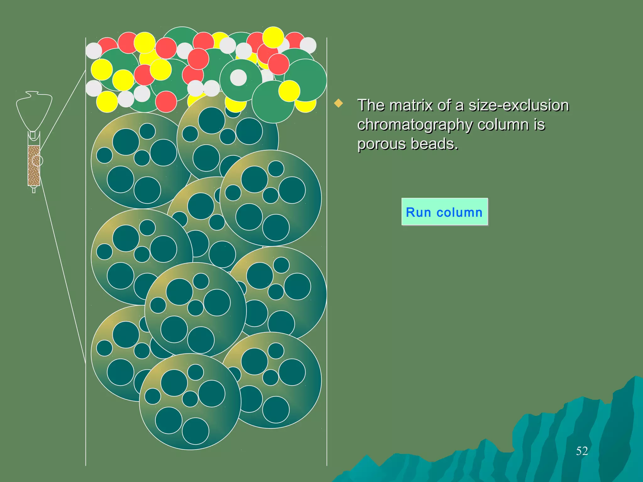 52
 The matrix of a size-exclusionThe matrix of a size-exclusion
chromatography column ischromatography column is
porous beads.porous beads.
Run columnRun column
 